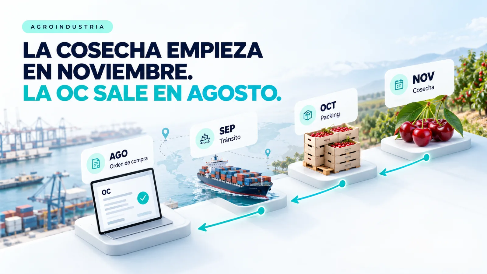 La cosecha empieza en noviembre, la oc sale en agosto